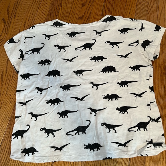 Gently used dinosaur tshirt - Picture 3 of 3